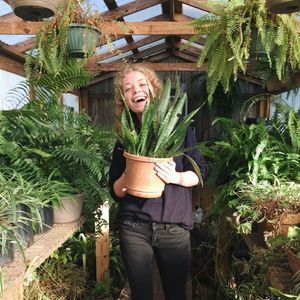 Meet your Posher, Mallory